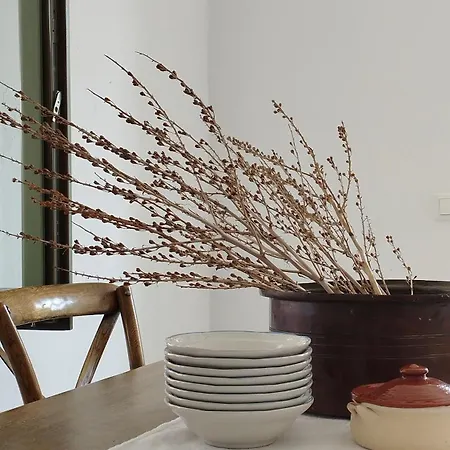 Akakies Summer House With Breathtaking Aegean View Villa Aspro Chorio